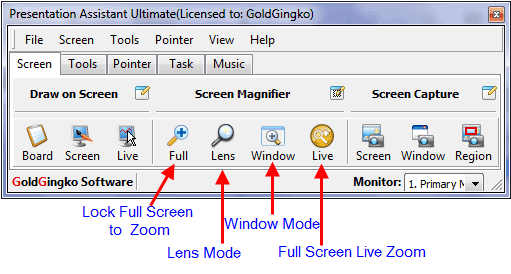Screen Magnifiers: Who and How They Help